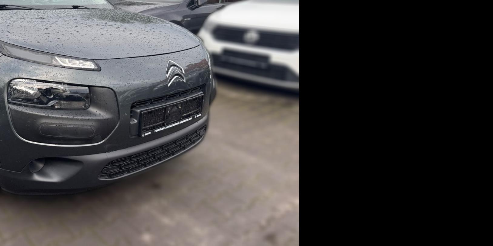 Citroën C4 Cactus C4Cactus Feel Klima Temp Autom DAB PDC Euro6 Top